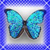 Аватар для Голубая Бабочка