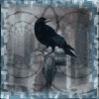 Аватар для Raven